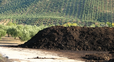 Agricultura acredita el proyecto de investigación de cooperativa Oleoestepa sobre el alperujo como compost orgánico.