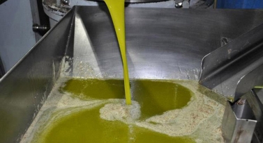 Los precios del aceite de oliva ratifican las previsiones estivales y siguen sin grandes variaciones.
